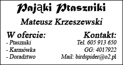 wizytówka